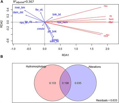 The Effect of Hydro-Morphology and Habitat Alterations on the Functional Diversity and Composition of Macrophyte Communities in the Large River
